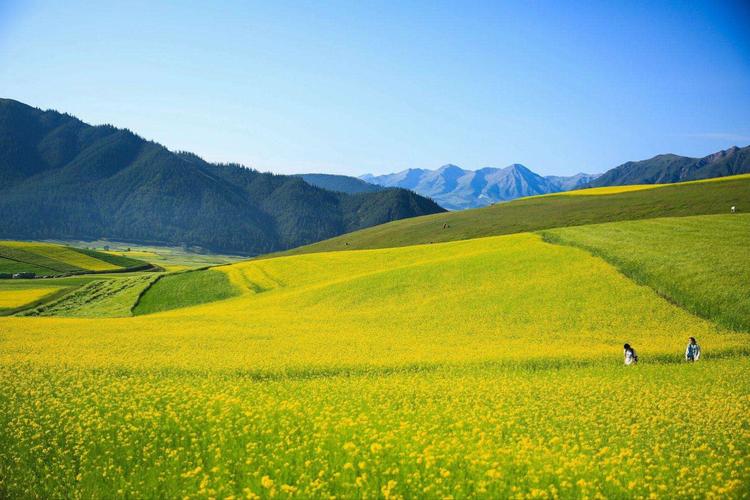 遇见百顺，遇见一段更懂你的旅程——写给第一次认识百顺旅游咨询服务部的朋友